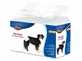 Pañales para perros XL (12 unidades) - 40-58 cm