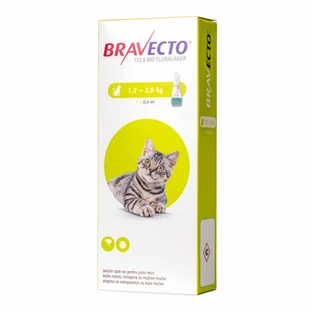 Bravecto Spot On Katze 1,2-2,8 kg, 112,5 mg, 1 Pipette