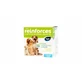 Viyo Reinforces für Hunde jeden Alters 1 x 30 ml