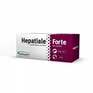 Hepatiale Forte 300mg - 40 Tabletten