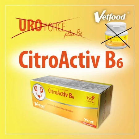 VetFood CitroActiv B6, 120 Kapseln