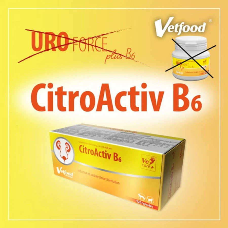 VetFood CitroActiv B6, 120 Kapseln