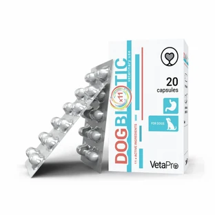 VETAPRO dogbiotic 20caps/cut Verdauungsförderung für Hunde