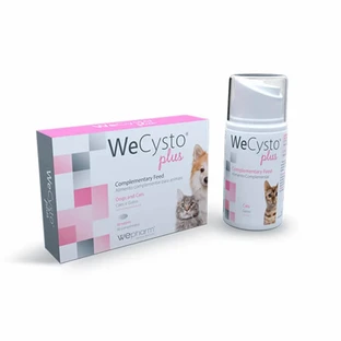 WeCysto Plus, voedingssupplement, tube x 50 ml