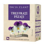 Té Tres Hermanos, 50g, Dacia Plant Té Tres Hermanos, 50g, Dacia Plant