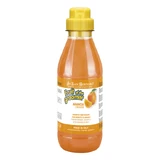 Shampoo Iv San Bernard Orange, für Hunde und Katzen, 500ml