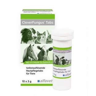 Alfavet Clever Fungus Tabletas 10x3g