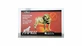 Fiprex 75 XL for dogs 40-60 kg - 3 Antiparasitic Pipettes