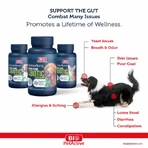 Bio PetActive Synbioflora para perros pequeños - 60 comprimidos