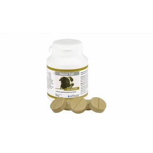 Nausi Tab, 20 Tabletten - 110 g
