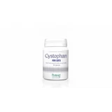 CYSTOPHAN for cats cats - 240 capsules