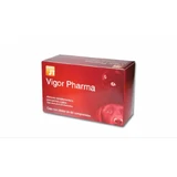JT- VIGOR PHARMA para perros y gatos, 60 TABLETAS