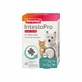 Digestive tablets for dogs and cats beaphar intestopro s 20tb/cut