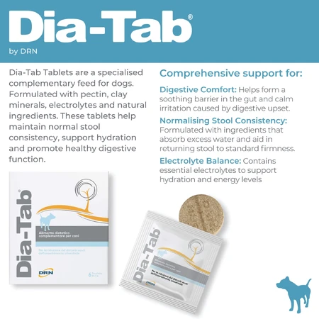 Dia-Tab, Ergänzungsmittel für Hunde, 6 Tabletten x 5 g