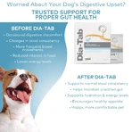 Dia-Tab, Ergänzungsmittel für Hunde, 6 Tabletten x 5 g
