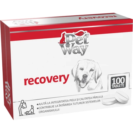 Petway Herstel - 100 Tabletten