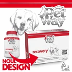 Petway Herstel - 100 Tabletten