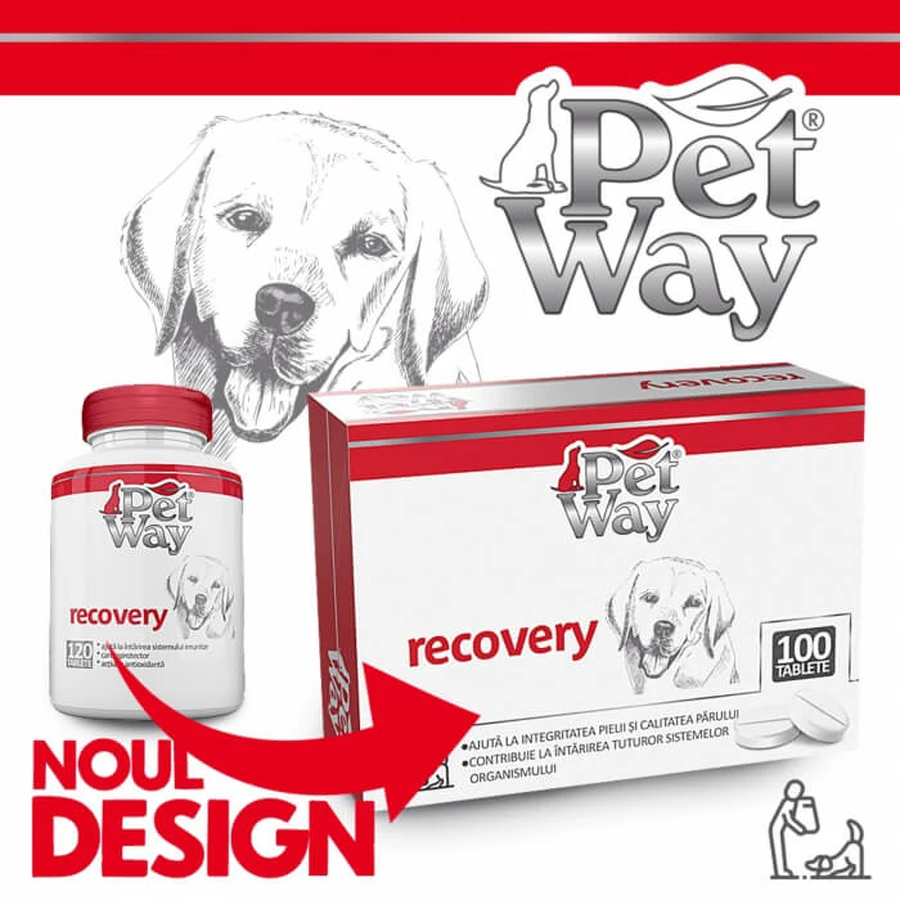 Petway Herstel - 100 Tabletten