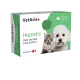 Supplement, VetAria+ Hepatic Small Dogs and Cats, 30 capsules Twist-Off