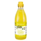 Iv San Bernard Shampoo met Gember en Vlier, voor honden en katten, 1000 ml