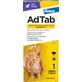 AdTab 12 mg comprimidos masticables para gatos contra pulgas y garrapatas (0,5-2 kg) - 1 comprimido