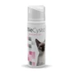 WECYSTO nutritional supplement to support urinary function, 100 ML
