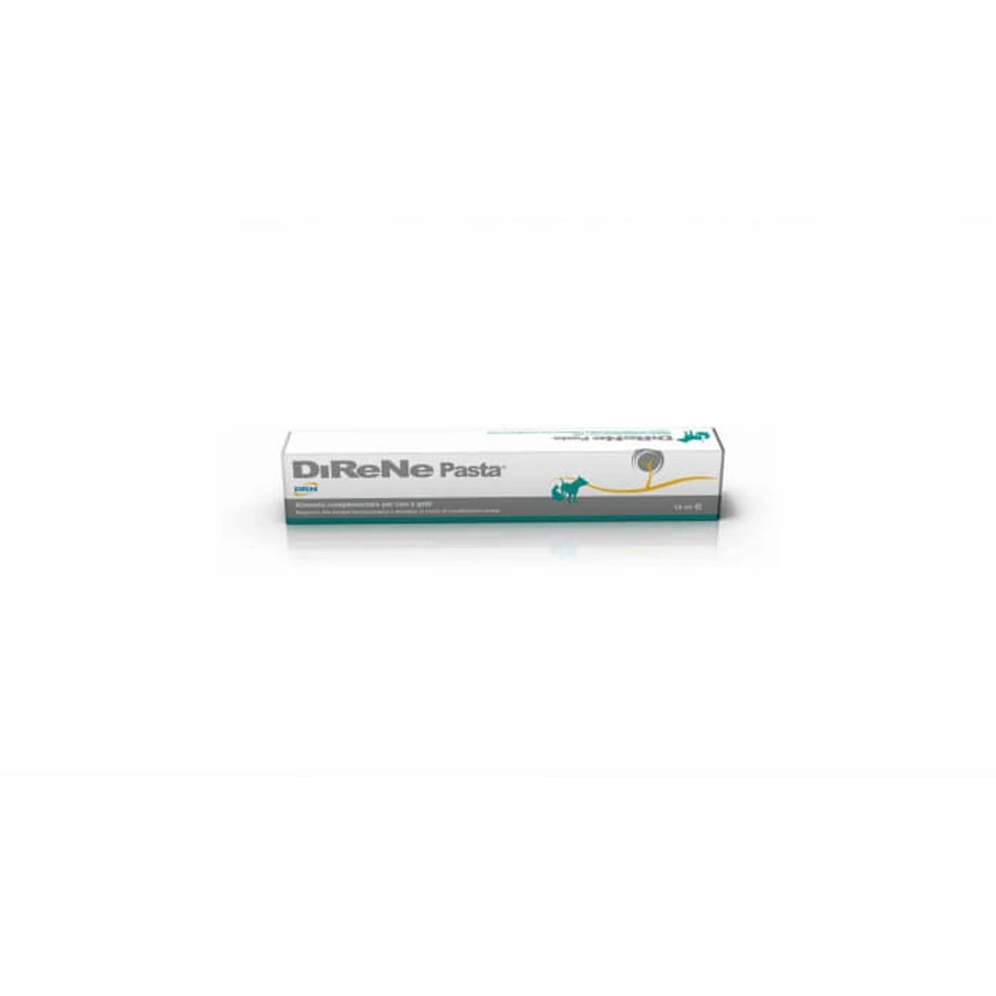 DIRENE pasta, 15 ml