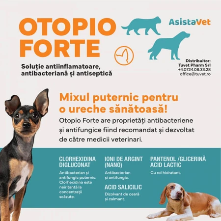 Antiseptische Ohrreinigungslösung mit Chlorhexidin Otopiopio Forte 75 ml
