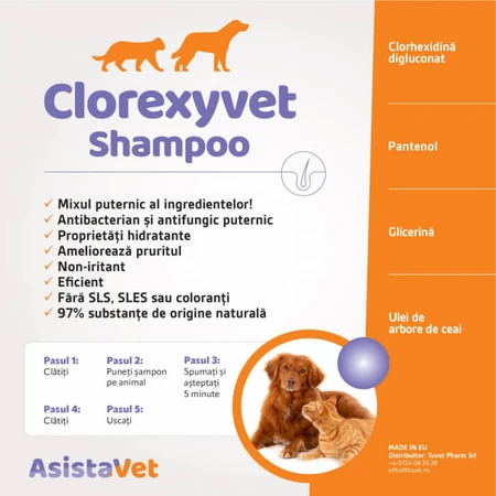 Antiseptisches und feuchtigkeitsspendendes dermatologisches Shampoo mit Chlorhexidin 3% Clorexyvet