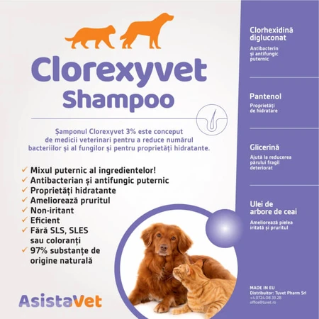 Antiseptisches und feuchtigkeitsspendendes dermatologisches Shampoo mit Chlorhexidin 3% Clorexyvet