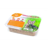 Leopet Grass for Cats 100 g