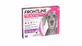 Frontline Tri-act L spot on voor honden 20-40 kg - 1 pipet antiparasitaire middelen