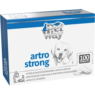 Petway arthro strong - 100 Tabletten