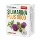 Silymarin Plus 8000, 30 Kapseln, Parapharm