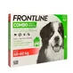 Frontline Combo XL (40-60 kg) - 1 Anti-Pest Pipette