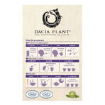 Brandnetelthee, 50g, Dacia Plant Brandnetelthee, 50g, Dacia Plant