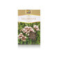 T&#232; alla valeriana, 50 g, Stef Mar Valcea