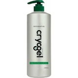 Anatomic Line Cryogel Cryotherapy Gel For muscle and joint pain 1000ml