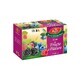 Aromfruct Th&#233; aux baies, 20 sachets, Fares