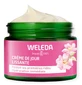 Weleda Wild Rose Night Moisturizing and Anti-Aging Face Cream 30ml