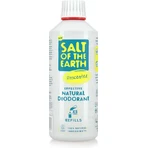 Sel de la Terre Déodorant naturel non parfumé Déodorant naturel sans aluminium 500ml