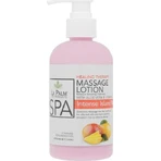 La Palm Healing Therapy Massage Lotion Loțiune hidratant pentru corp cu Aloe Vera 240ml