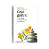 Gastric tea, 20 sachets, Alevia