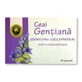 Enziantee, 40 g, Hypericum