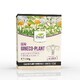 Dorel Plant