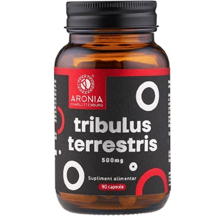 Tribulus Terrestris 500 mg - 90 Kapseln mit 90% Saponinen für Vitalität, Libido und körperliche Leistungsfähigkeit