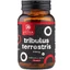 Tribulus Terrestris 500 mg - 90 Kapseln mit 90% Saponinen für Vitalität, Libido und körperliche Leistungsfähigkeit
