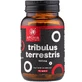 Tribulus Terrestris 500 mg - 90 capsules with 90% saponins for vitality, libido and physical performance