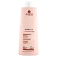 Color Color shampoo for dyed hair, 500 ml, Alama