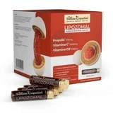 Lipozomale Propolis, Vitamine C en Vitamine D3, 30 injectieflacons, Albina Carpatina